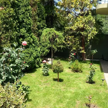 House Guest house 3*